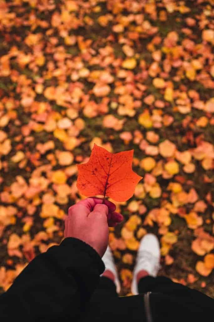 Körpersprache bei männern