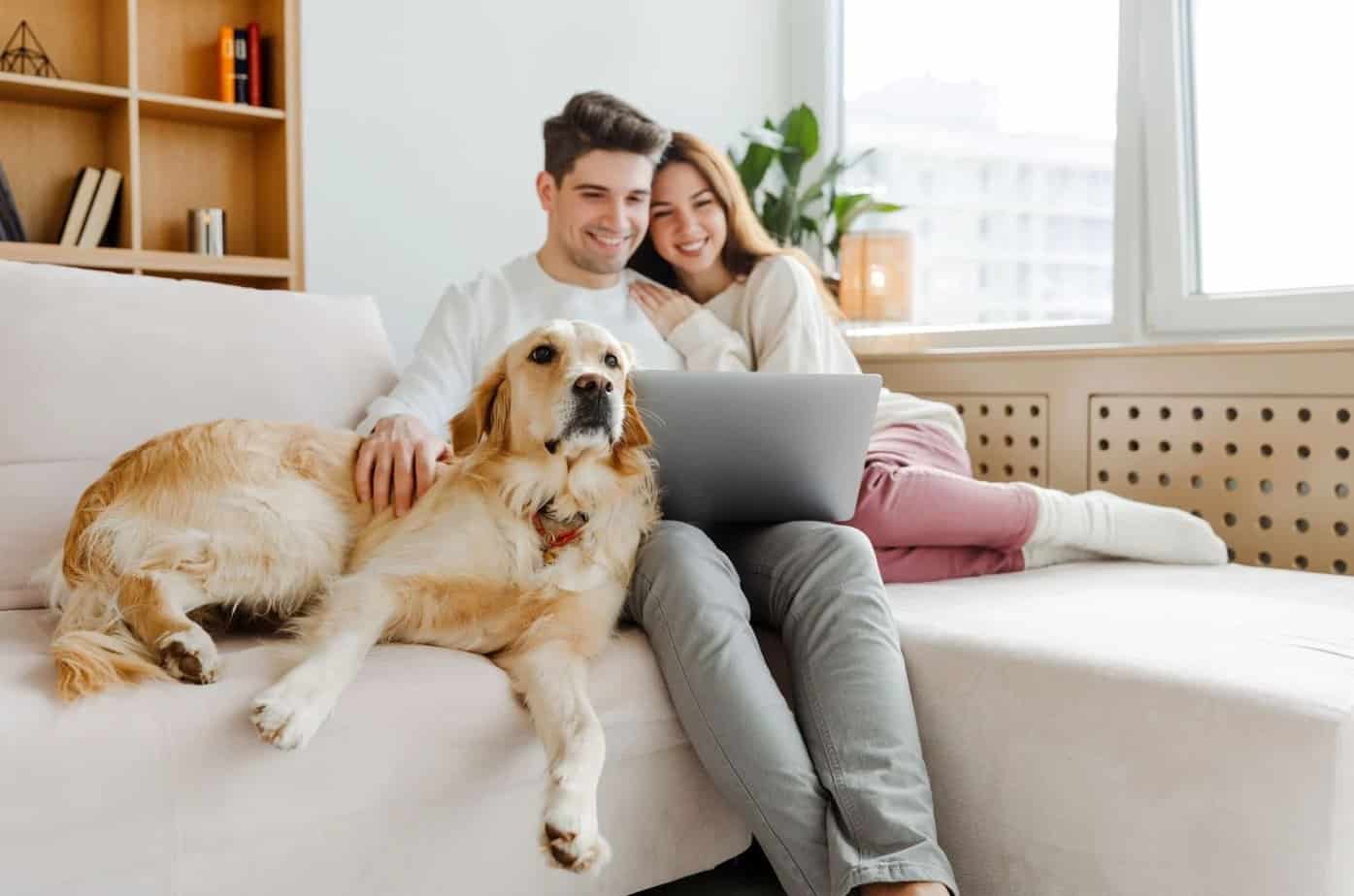 8 bevis på at du lider av Brunhilde-komplekset Paar und Hund