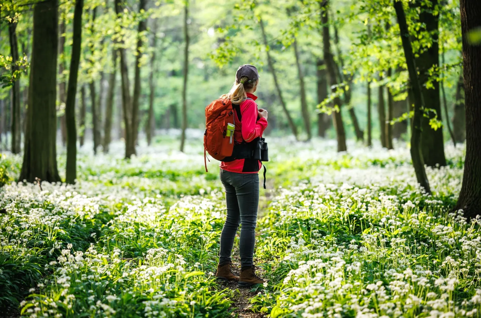 Hvorfor den rette personen først kommer når du ikke lenger leter etter dem Frau geht im Wald spazieren