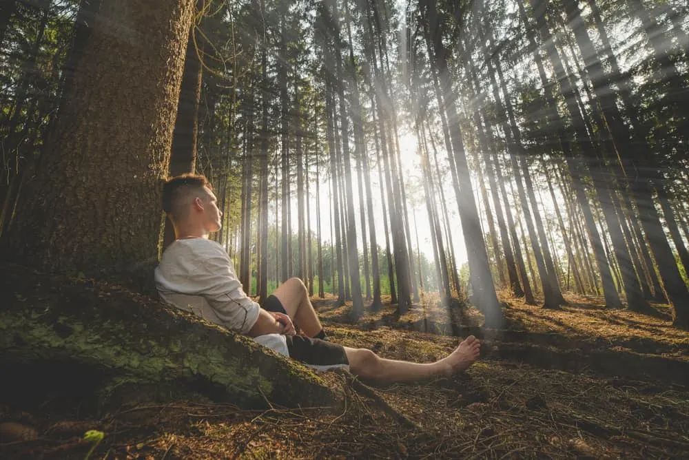 Ein Mann sitzt alleine im Wald