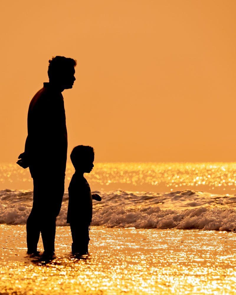 Silhouette of a Father Holding a Daughter against a Sunset Sea · Free Stock  Photo