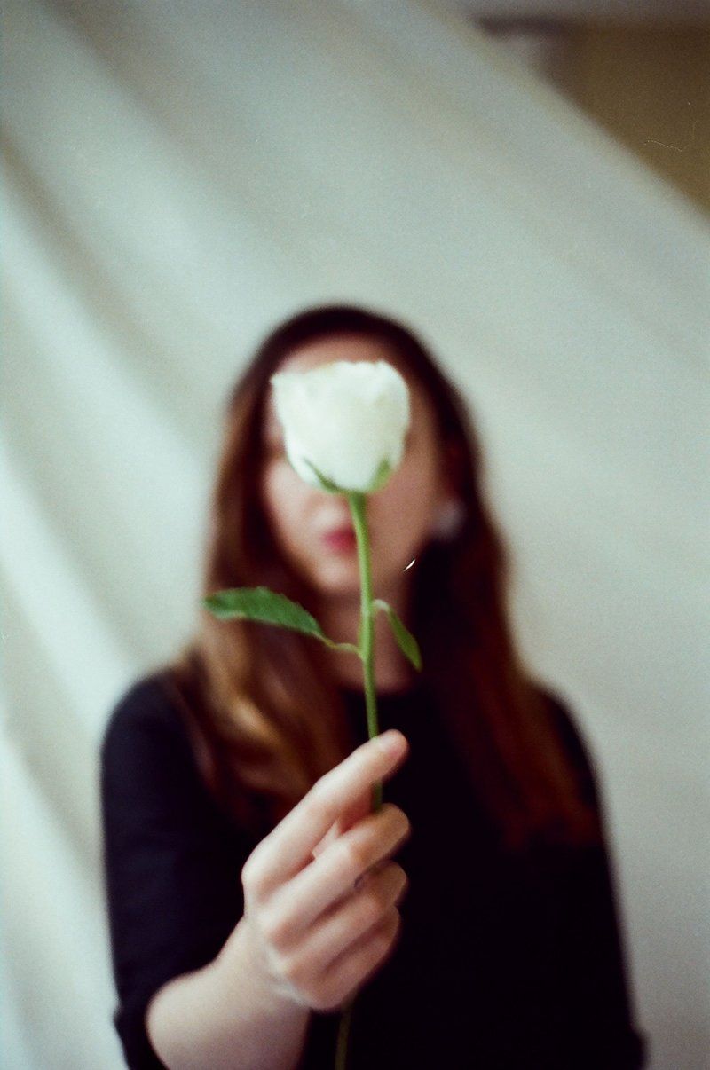 White Rose Held by a Woman · Free Stock Photo White Rose Held by a Woman · Free Stock Photo