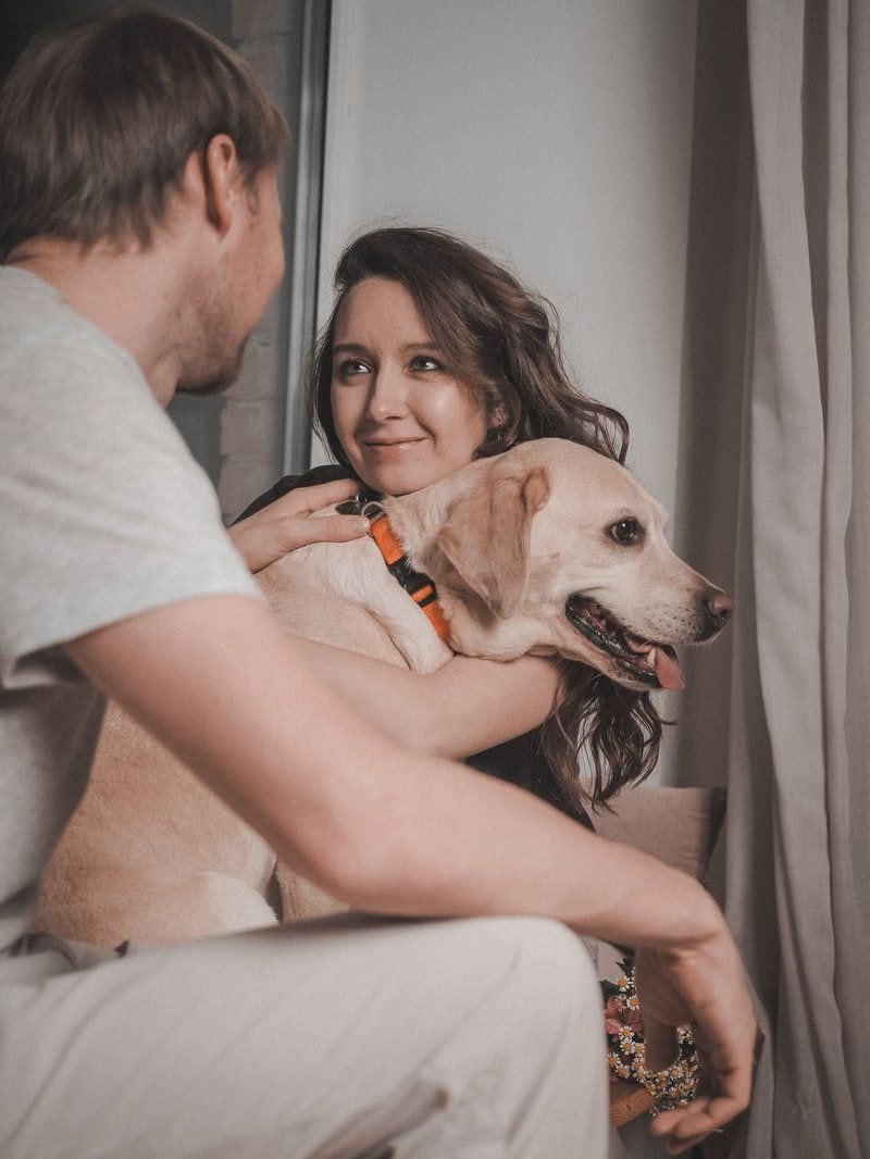 Woman and Man Sitting with Dog · Free Stock Photo Woman and Man Sitting with Dog · Free Stock Photo