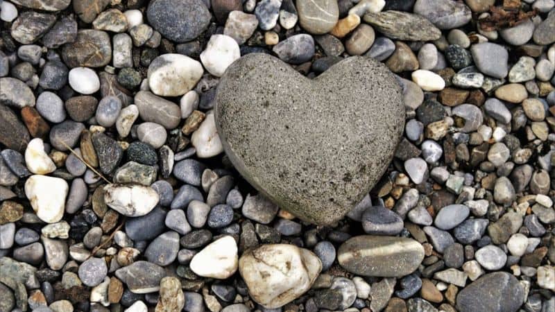 Hvordan bekjempe narsissisme: 15 strategier anbefalt av eksperter for å uskadeliggjøre en narsissist Use the Gray Rock Method