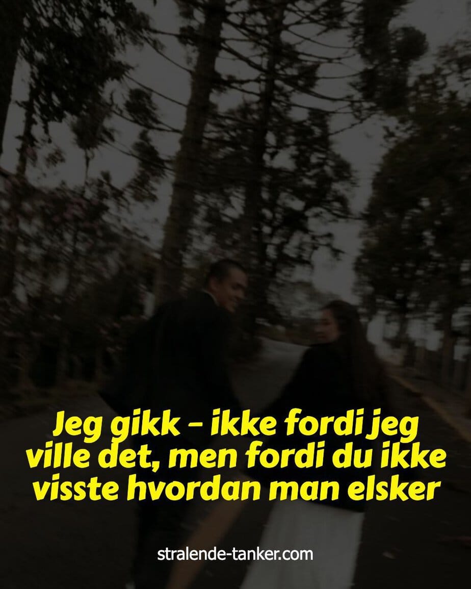 Jeg gikk – ikke fordi jeg ville det, men fordi du ikke visste hvordan man elsker Jeg gikk – ikke fordi jeg ville det, men fordi du ikke visste hvordan man elsker