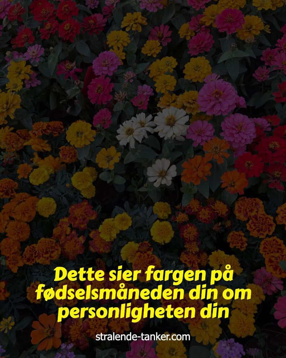 Dette sier fargen på fødselsmåneden din om personligheten din