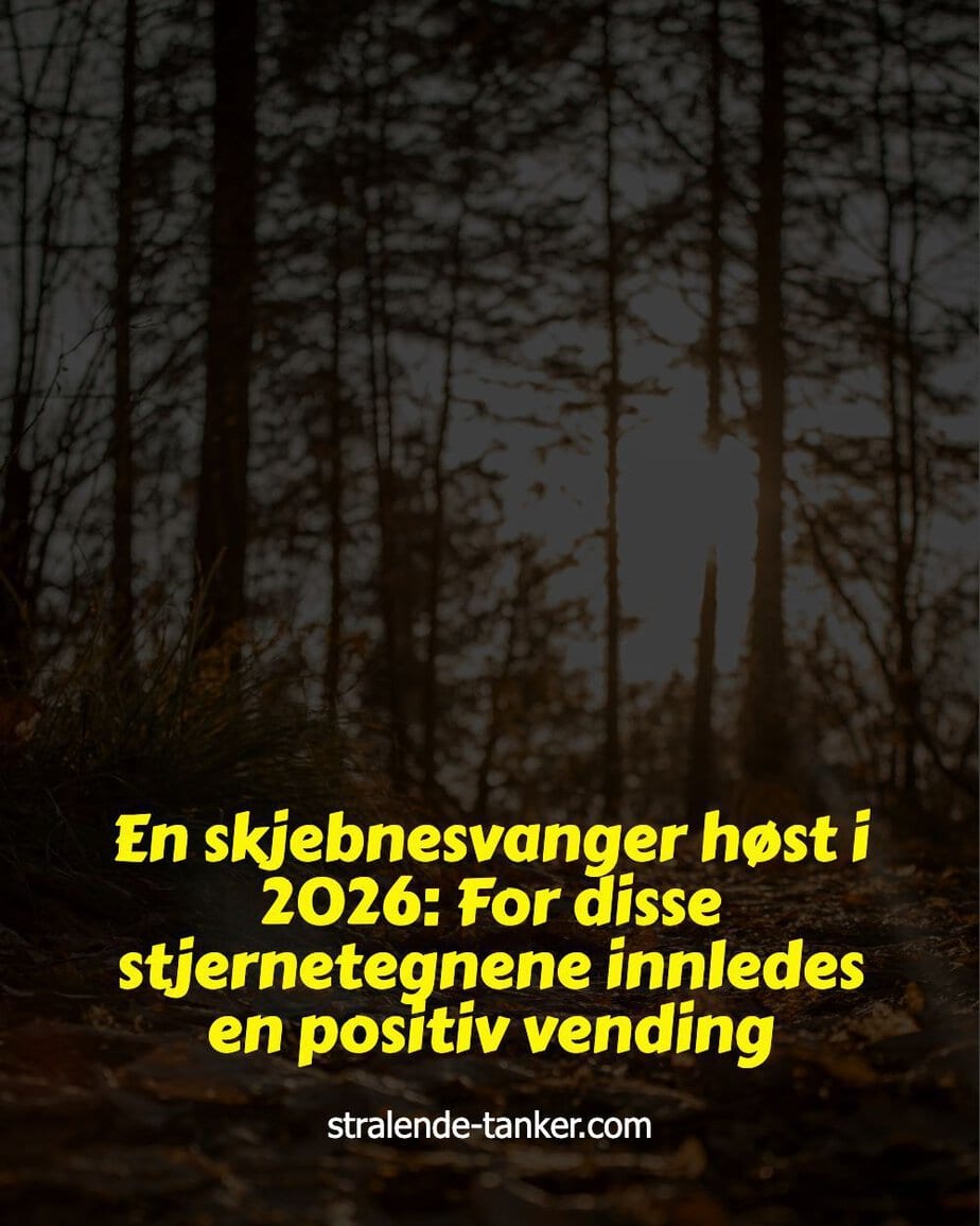 En skjebnesvanger høst i 2026: For disse stjernetegnene innledes en positiv vending En skjebnesvanger høst i 2026: For disse stjernetegnene innledes en positiv vending