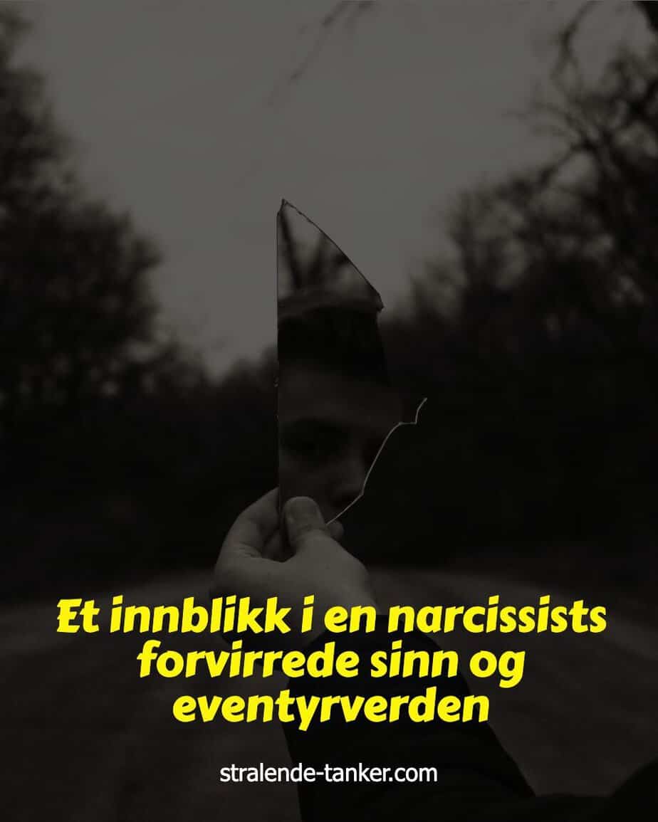 Et innblikk i en narcissists forvirrede sinn og eventyrverden
