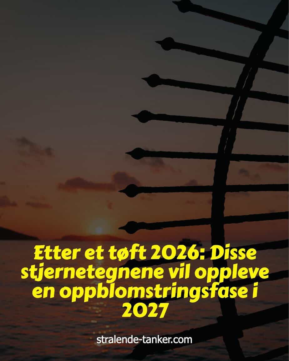 Etter et tøft 2026: Disse stjernetegnene vil oppleve en oppblomstringsfase i 2027 Etter et tøft 2026: Disse stjernetegnene vil oppleve en oppblomstringsfase i 2027