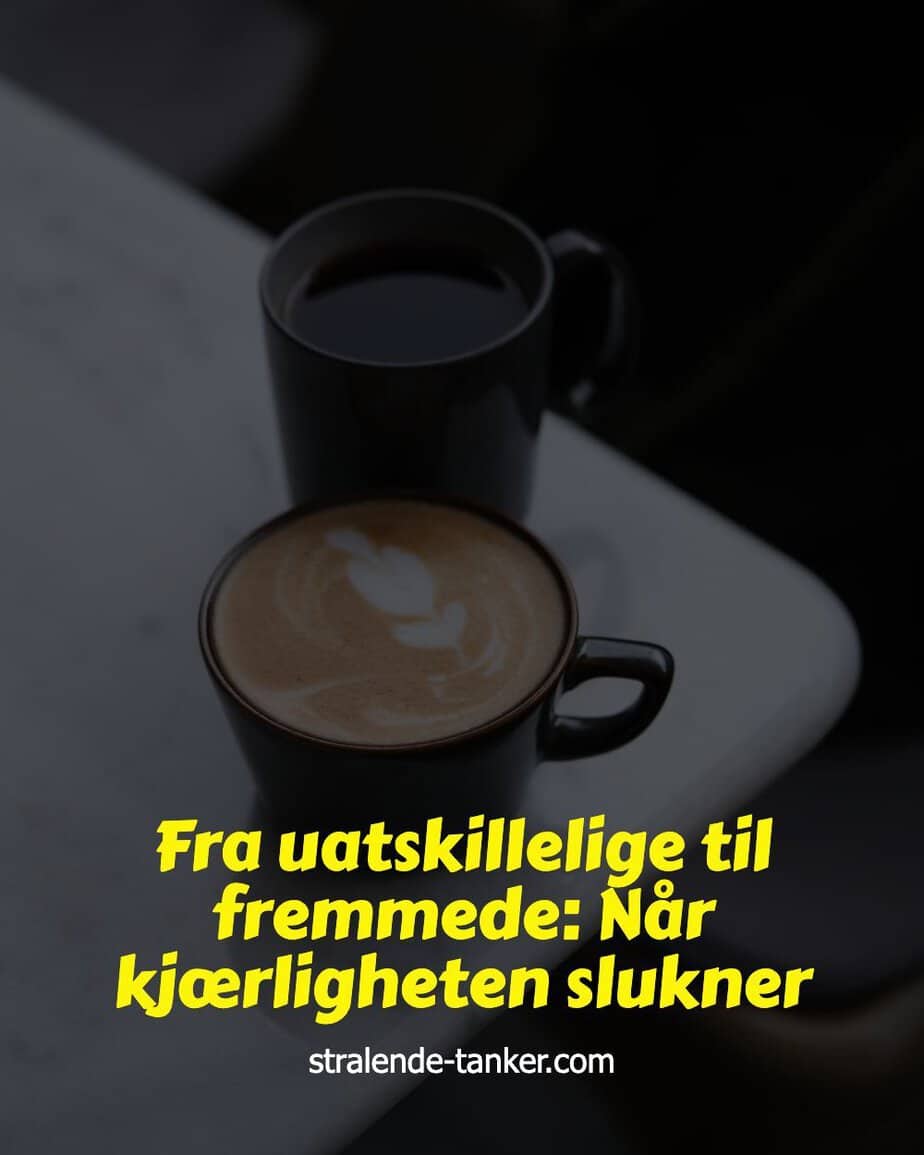 Fra uatskillelige til fremmede: Når kjærligheten slukner